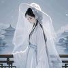 挽星入梦