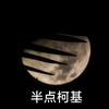 半点柯基