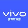 巨亿万达vivo框框