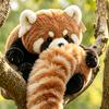 涂鸦萌RedPanda