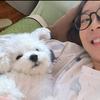 能偷你的小狗吗