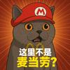 平翘不分的丽儿