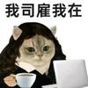 天选打工人