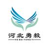 河北勇毅体育