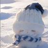 猫兔过冬❄️