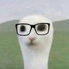秃橙