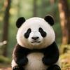 熊猫速刷