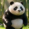 趣闻大百科
