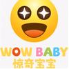 WOW BABY惊奇宝宝入户早教儿童定制