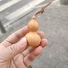 故事的序章
