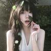 小夏的猫