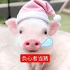 坏掉的小芋头