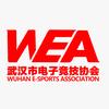 武汉市电子竞技协会