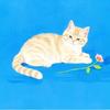 小猫动画