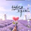 答案在路上