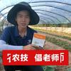 国光靓仔铭