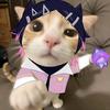 一颗糖