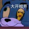 丑的想整容