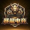 暴龍电竟（三角洲行动）