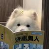 伶大王