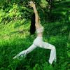 茂茂yoga