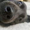 饿死了:3