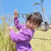 妹妹就是祥俪