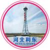河北利东钢结构有限公司｜铁塔建设