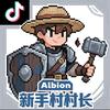 Albion村长