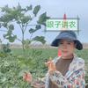 银子讲农