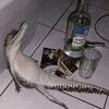 鳄鱼🐊🐊
