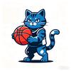 球圈猫哥🏀