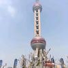 好运常在