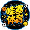哇塞体育