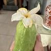 菊花梨大王
