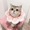 恰逢雪季-