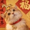 福宝是只猫