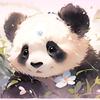 俏皮小熊猫