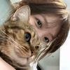 独属于我的猫