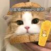 晨猫meme小剧场