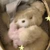 秦羽ฅ՞•ﻌ•՞ฅ