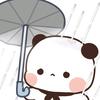 珠海一二数学