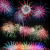 交城🎆火因花🎆烧烤纸包鱼