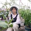 乐多多楼顶菜园生活