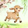 晓羊