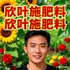 繁卉农业🌹阿强