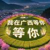 《三生有幸》
