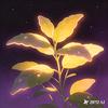 夜读舒心草