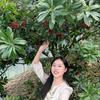 果之芳-兰溪杨梅