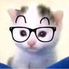 猫处(无畏契约)